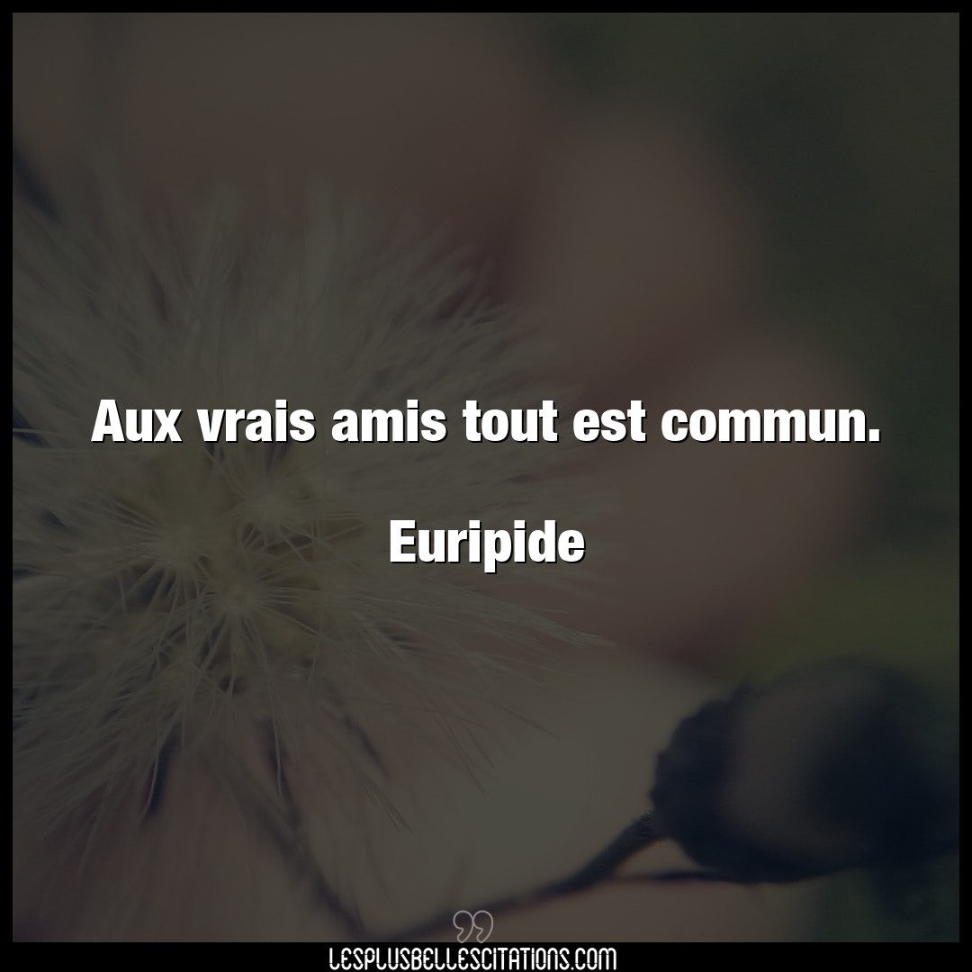 Aux vrais amis tout est commun.

Euripide