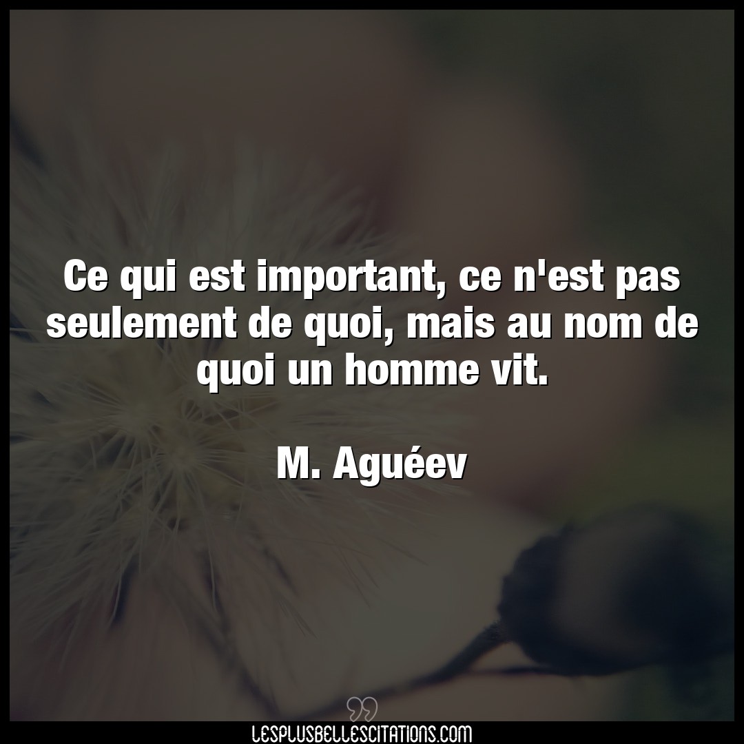 Ce qui est important, ce n’est pas seulement