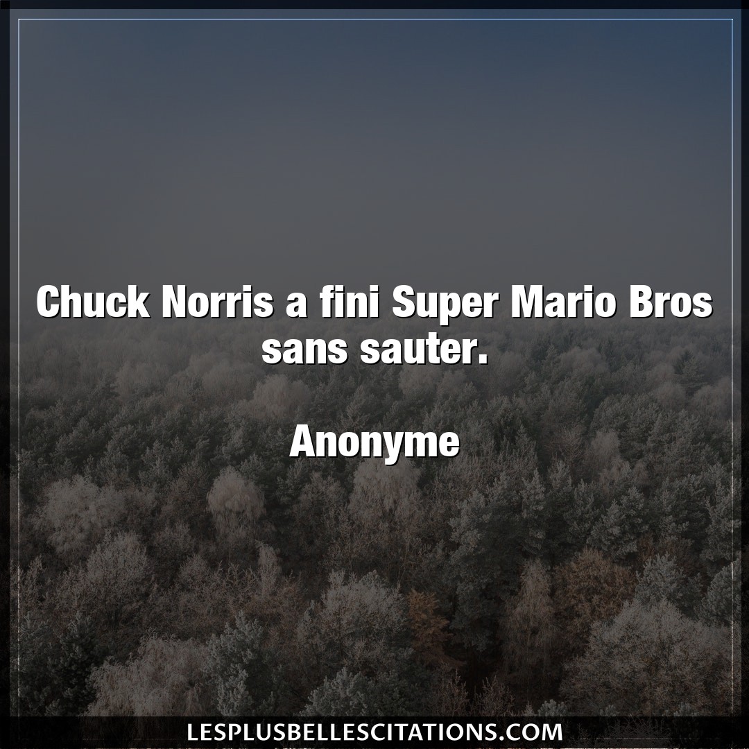 Chuck Norris a fini Super Mario Bros sans sau