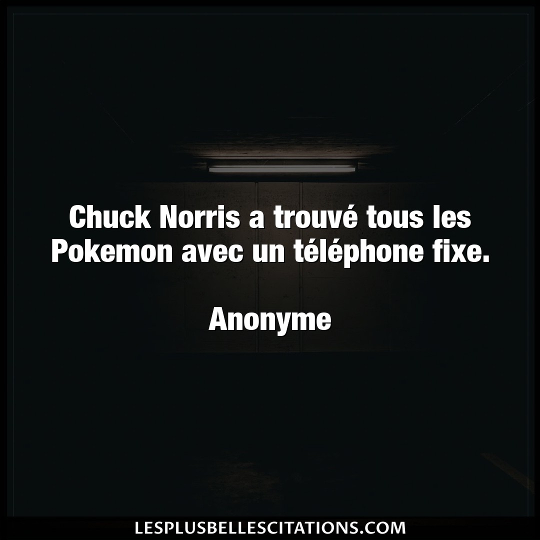Chuck Norris a trouvé tous les Pokemon avec
