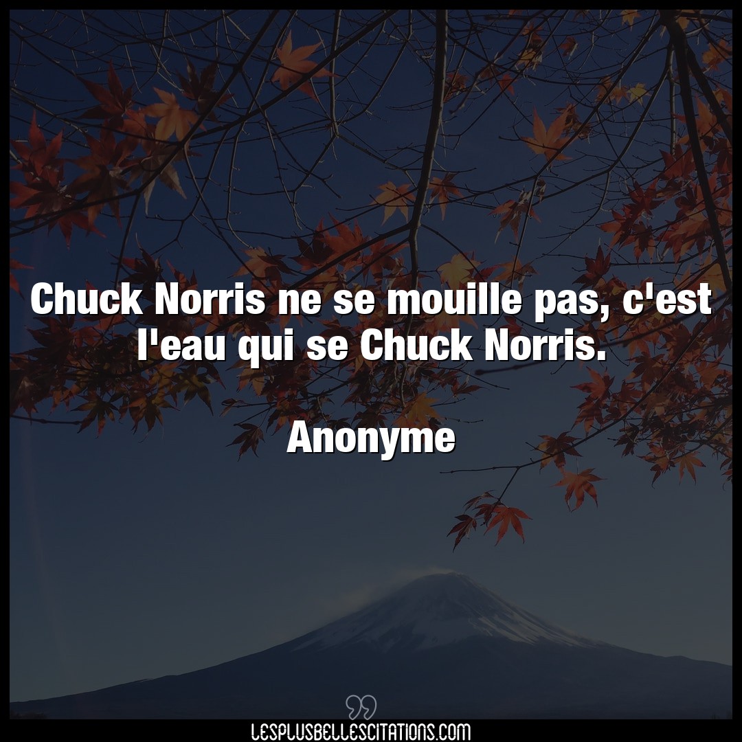Chuck Norris ne se mouille pas, c’est l’eau q