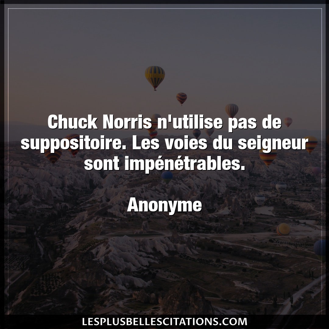 Chuck Norris n’utilise pas de suppositoire. L