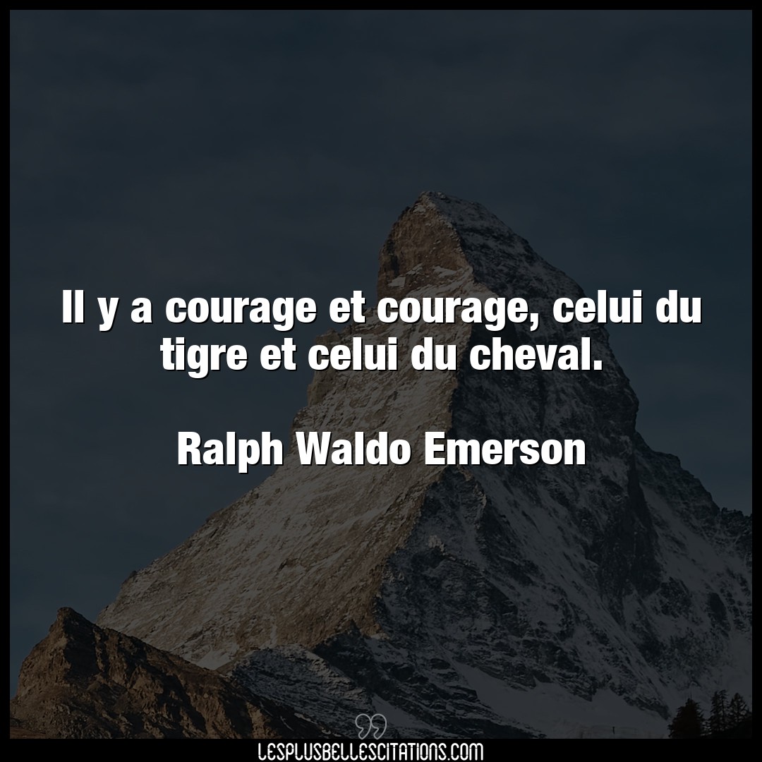 Il y a courage et courage, celui du tigre et