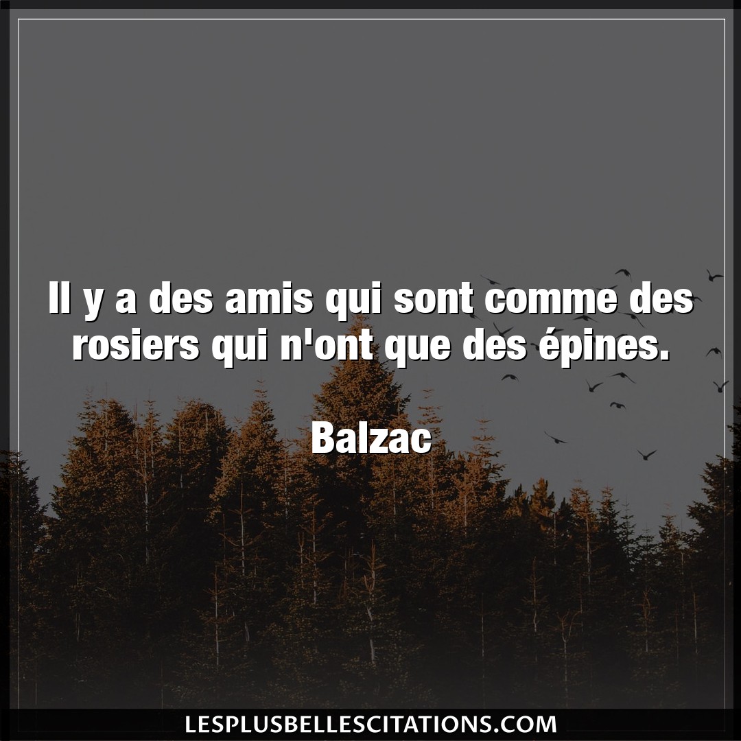 Il y a des amis qui sont comme des rosiers qu