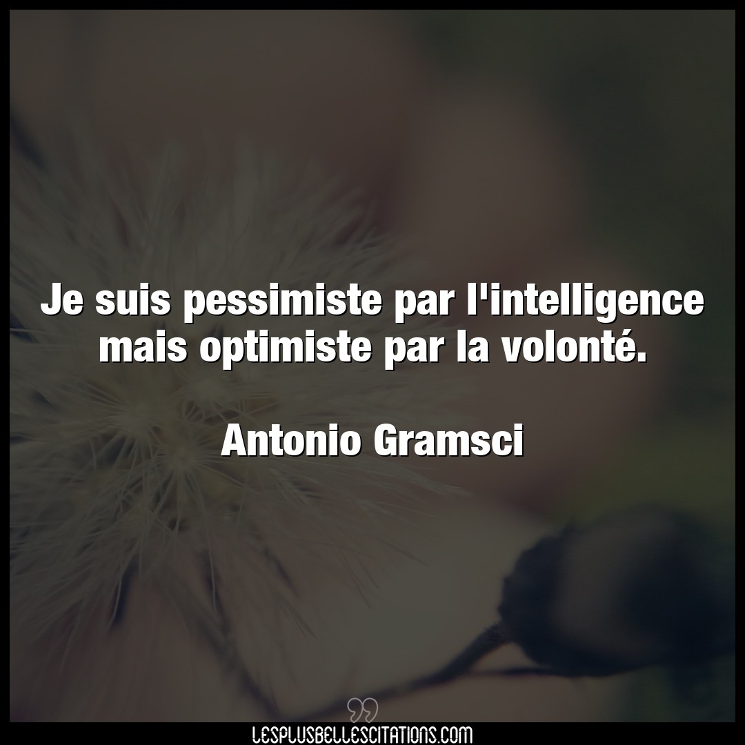 Je suis pessimiste par l’intelligence mais op