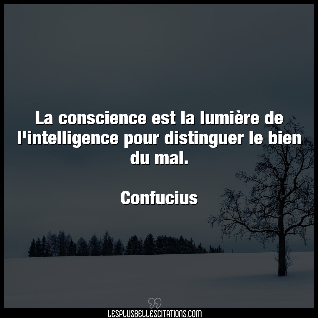 La conscience est la lumière de l’intelligen