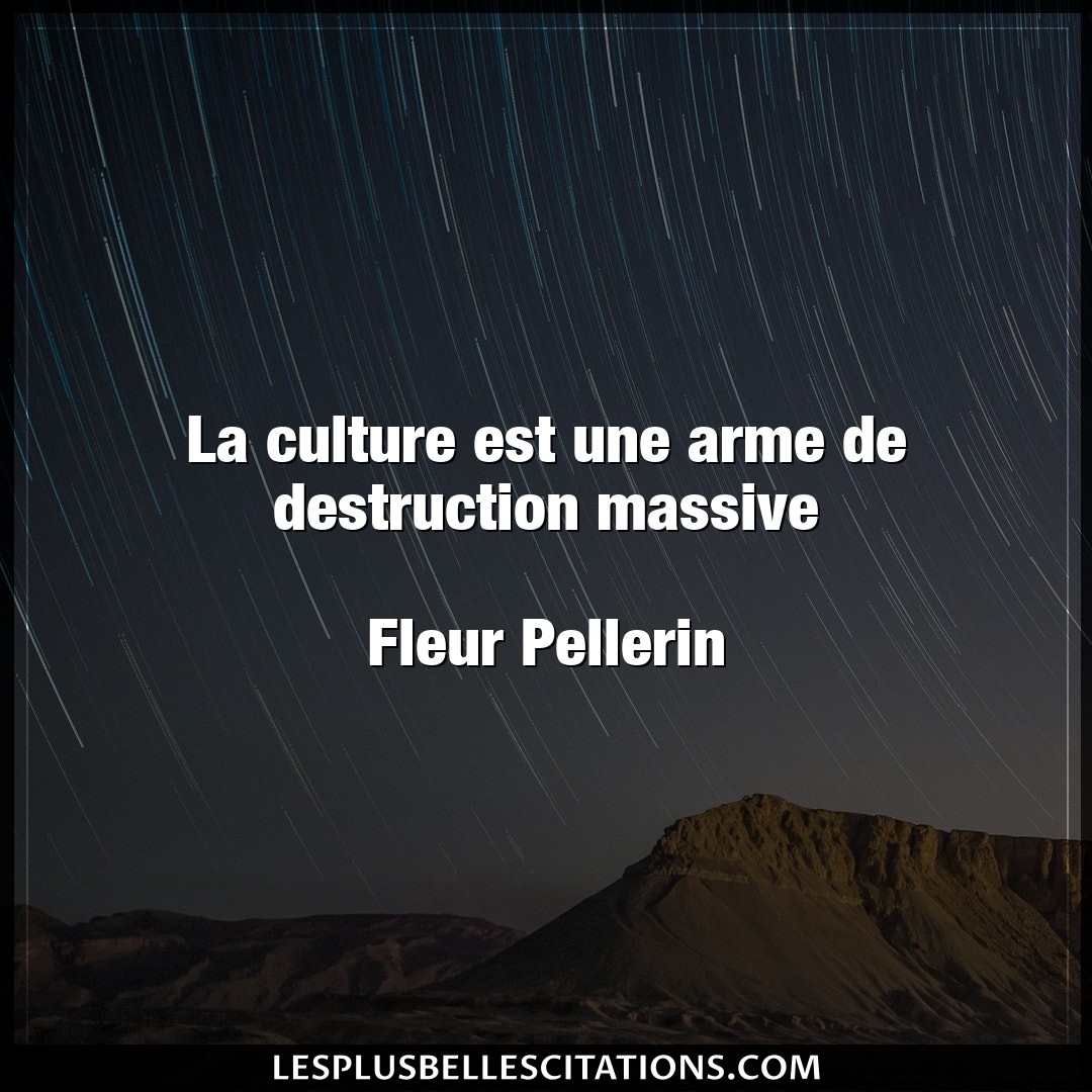 La culture est une arme de destruction massiv