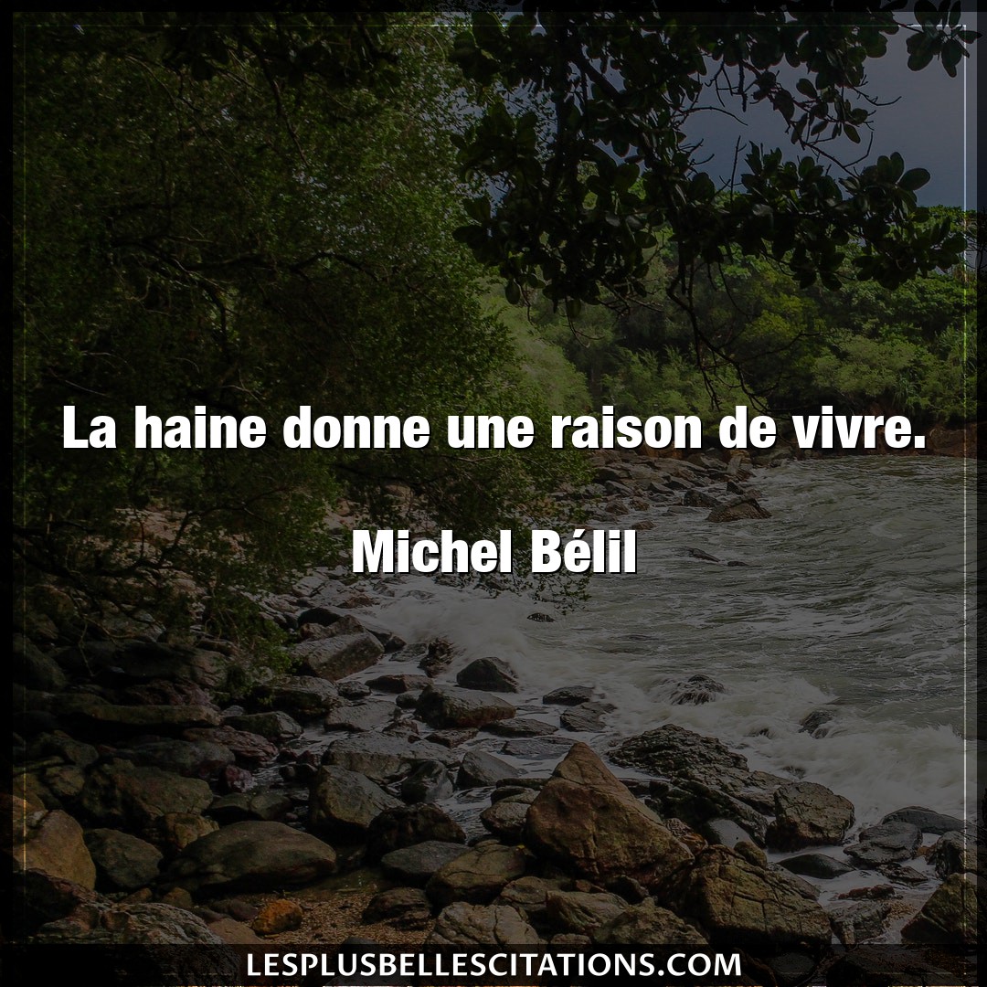 La haine donne une raison de vivre.

Michel