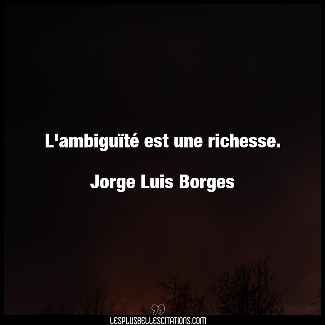 L’ambiguïté est une richesse.

Jorge Luis