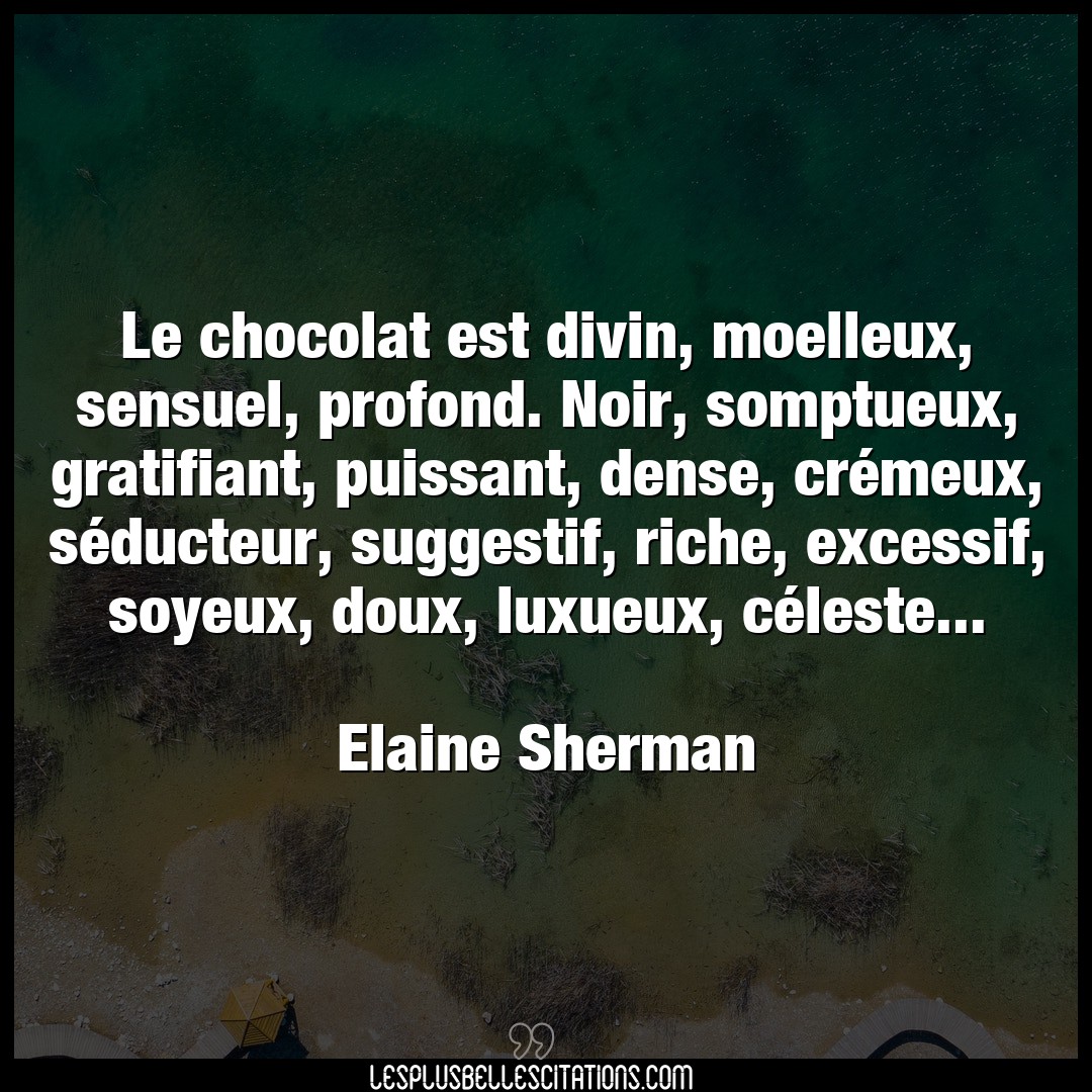 Le chocolat est divin, moelleux, sensuel, pro