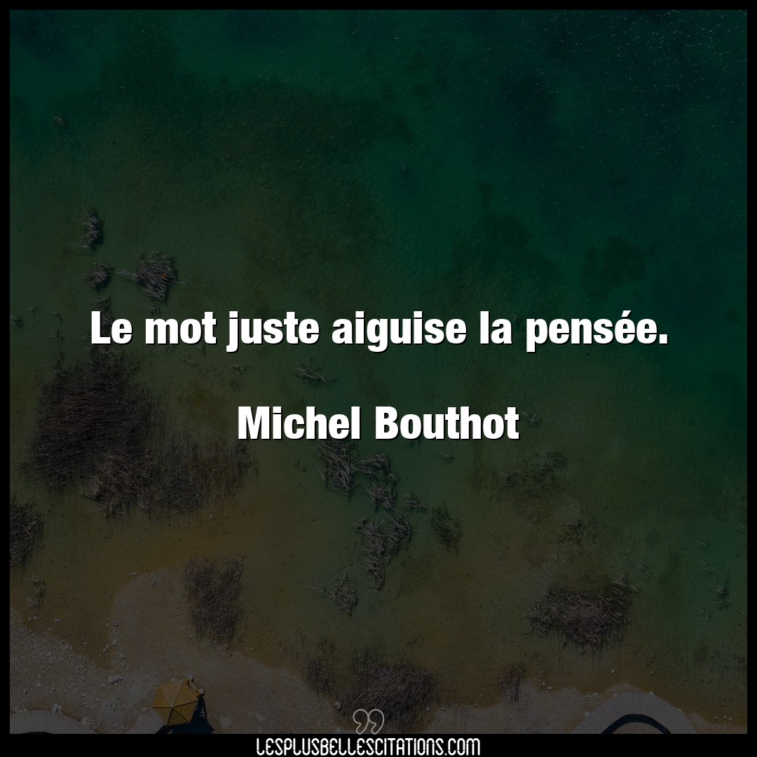Le mot juste aiguise la pensée.

Michel Bo