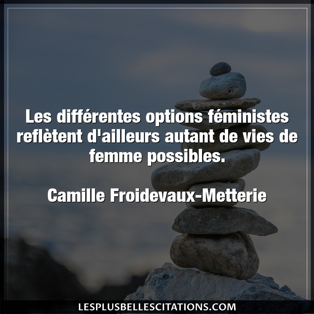 Les différentes options féministes reflète