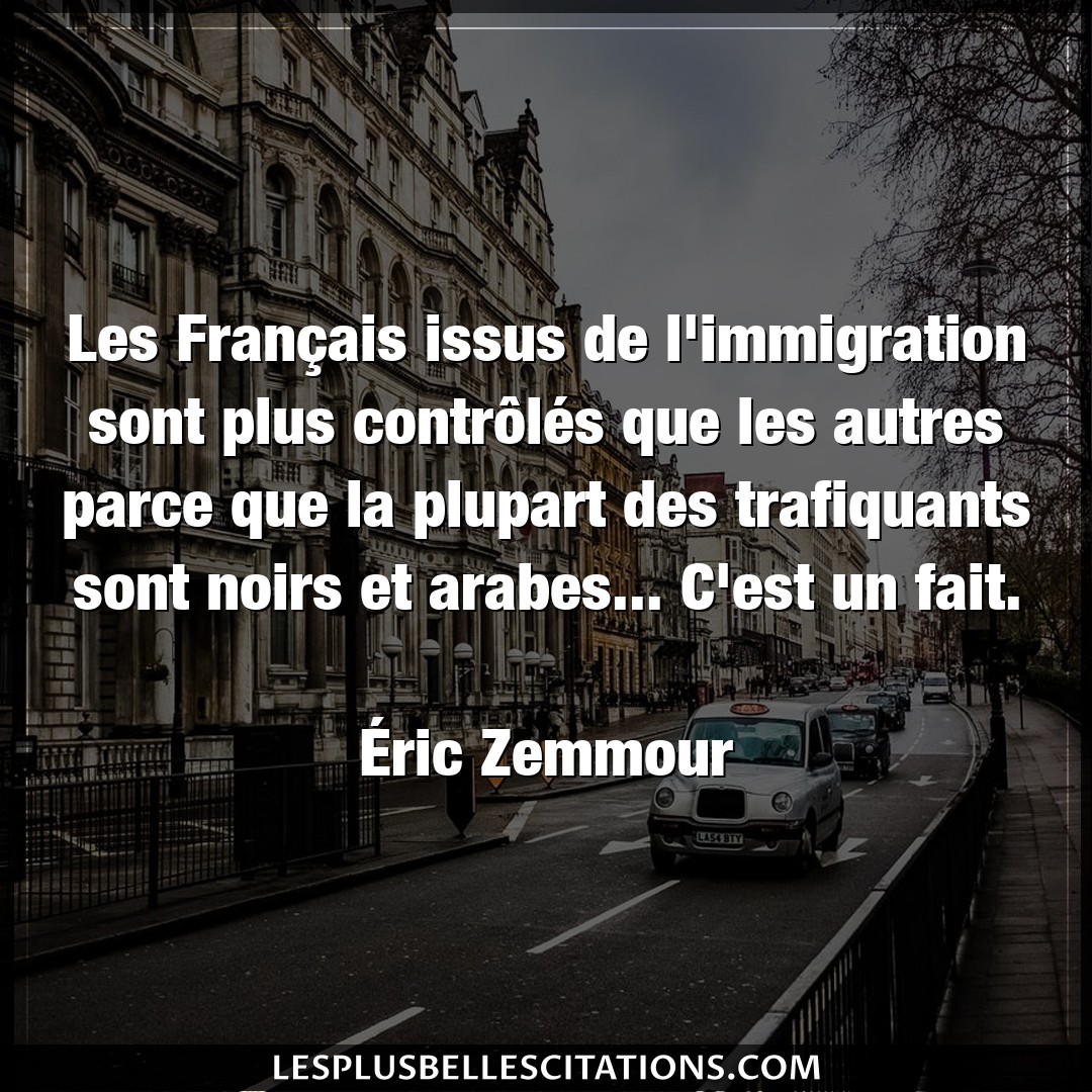 Les Français issus de l’immigration sont plu