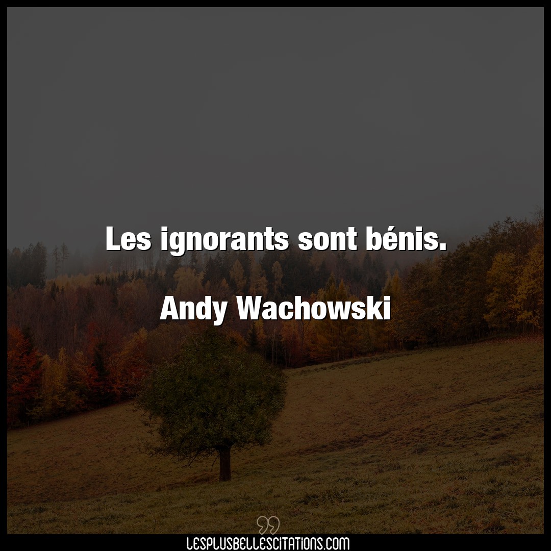 Les ignorants sont bénis.

Andy Wachowski