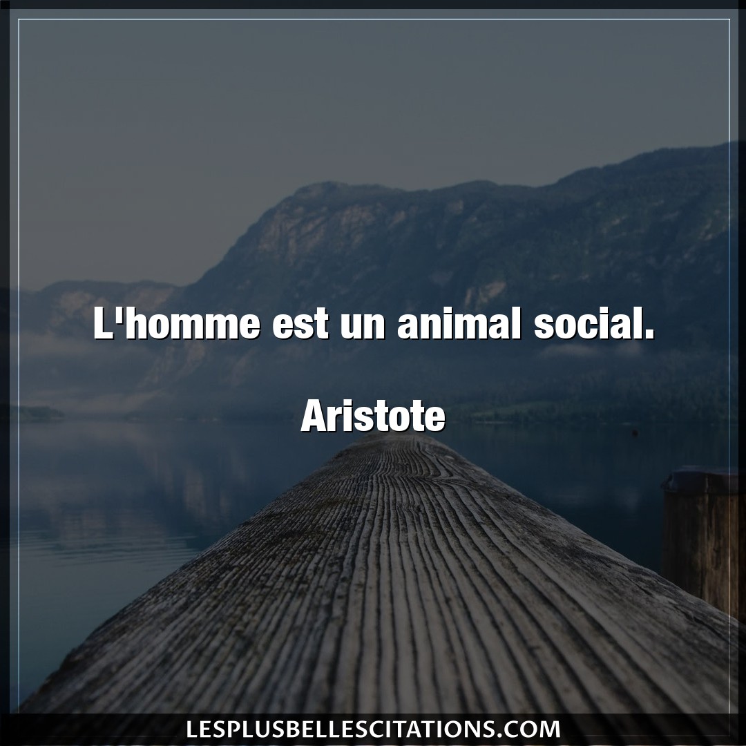 L’homme est un animal social.

Aristote
