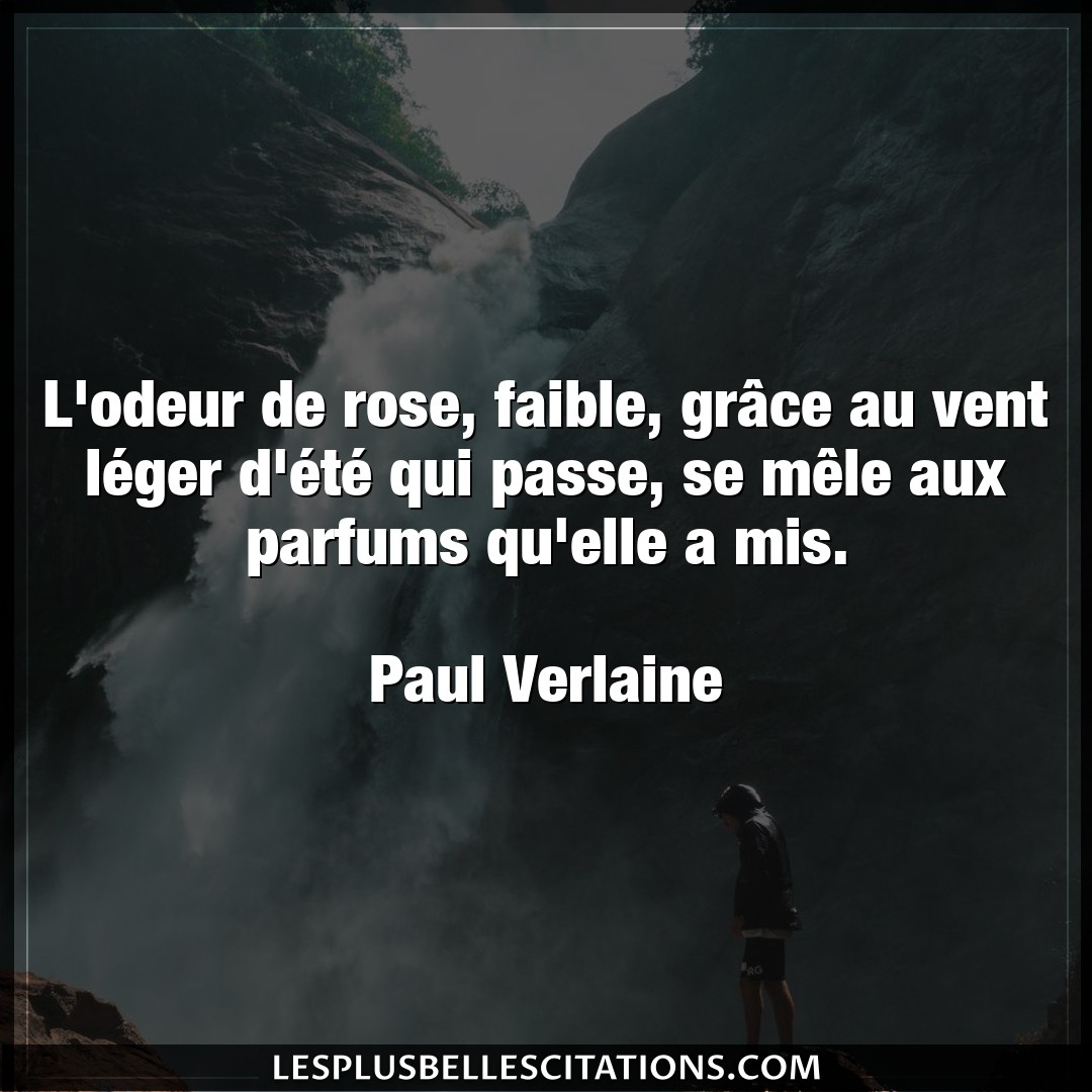 L’odeur de rose, faible, grâce au vent lége