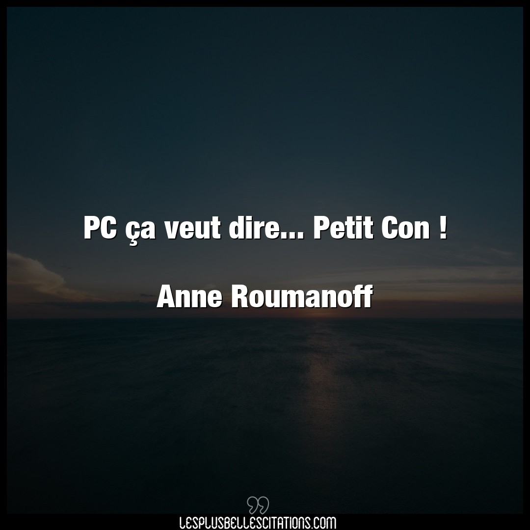 PC ça veut dire… Petit Con !

Anne Rouma