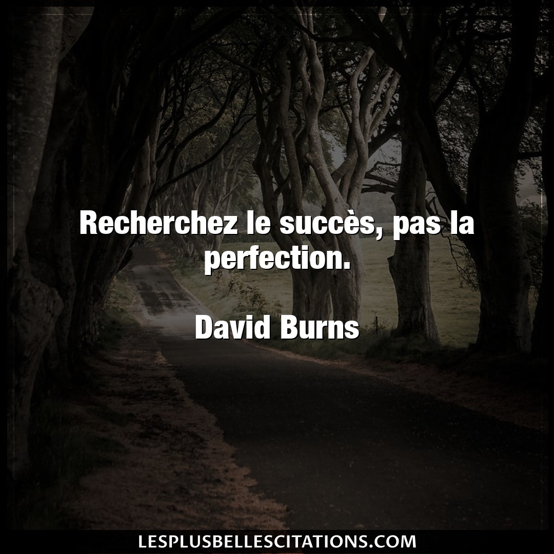 Recherchez le succès, pas la perfection.