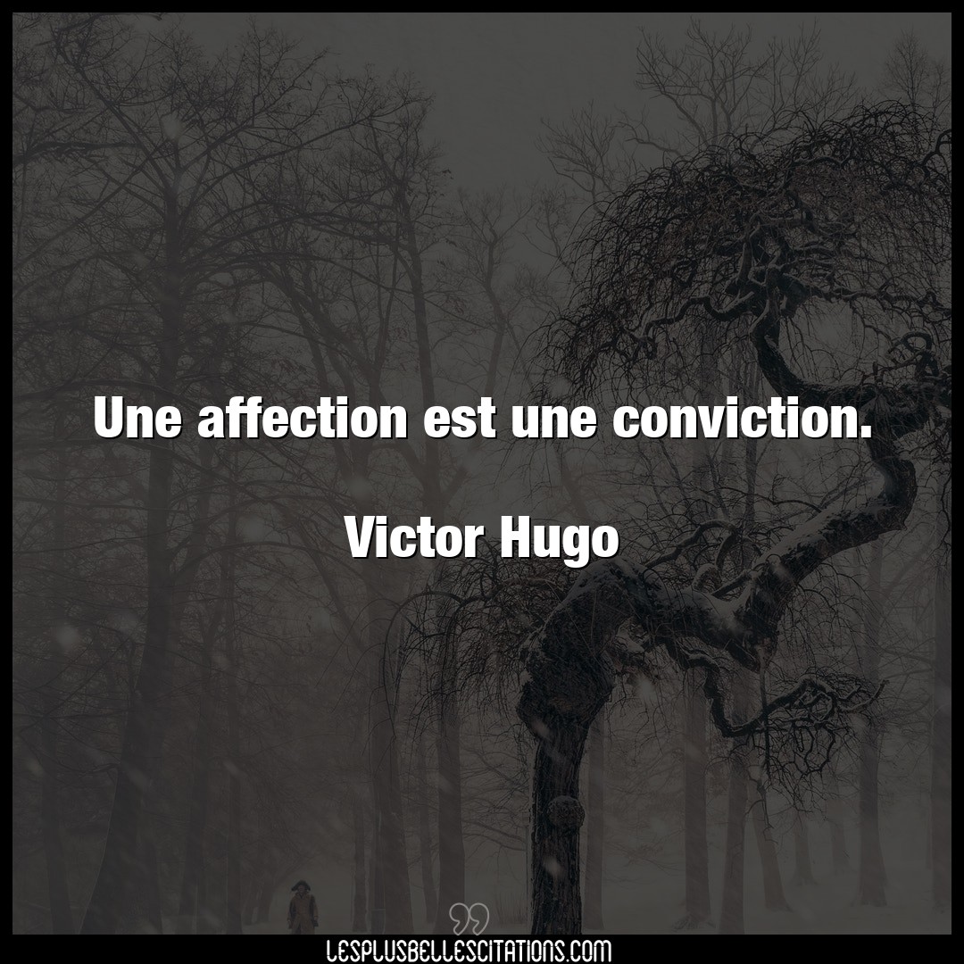 Une affection est une conviction.

Victor H
