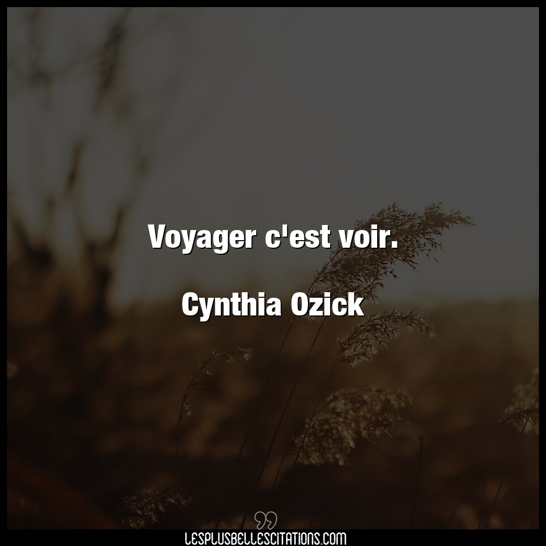 Voyager c’est voir.

Cynthia Ozick